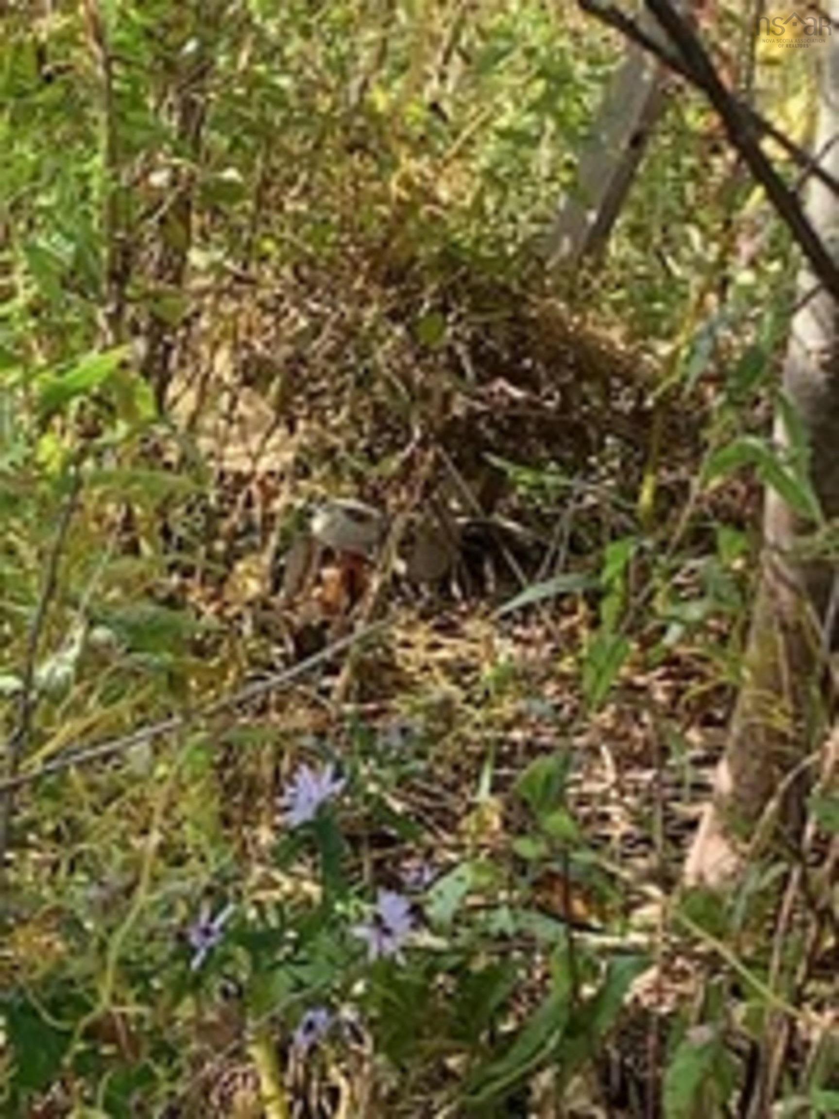 $62,900.00: 18 Acres Highway 256, West Branch