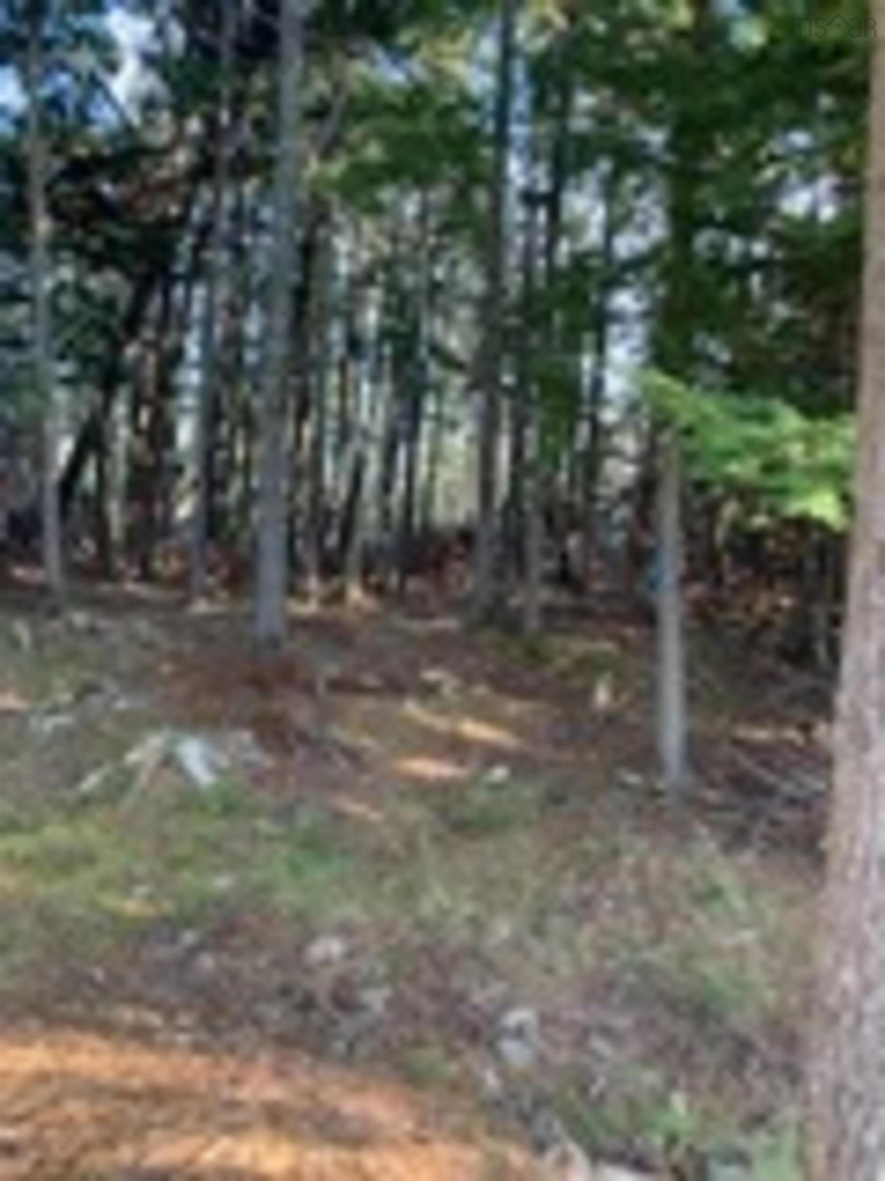 $62,900.00: 18 Acres Highway 256, West Branch