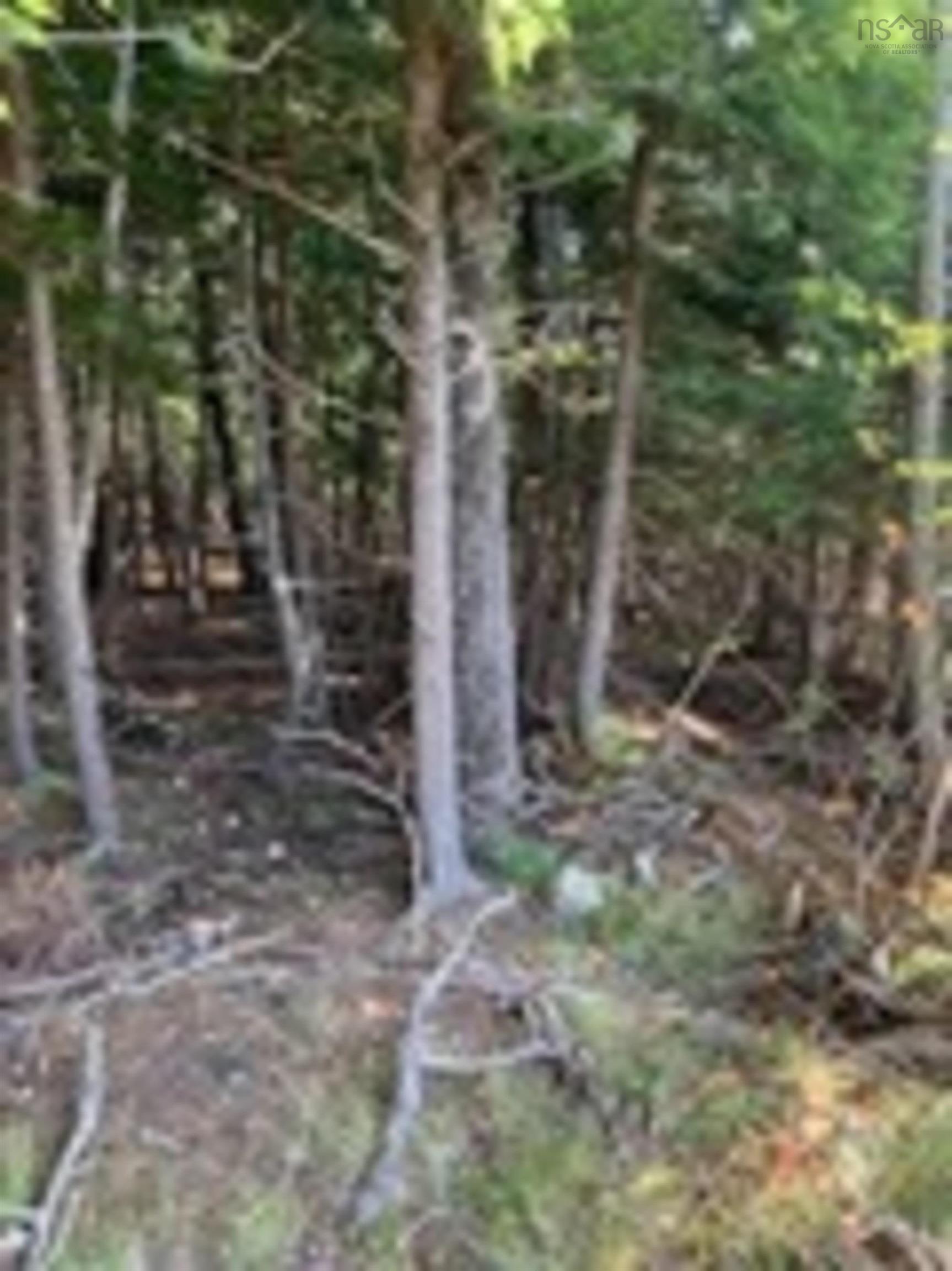 $62,900.00: 18 Acres Highway 256, West Branch