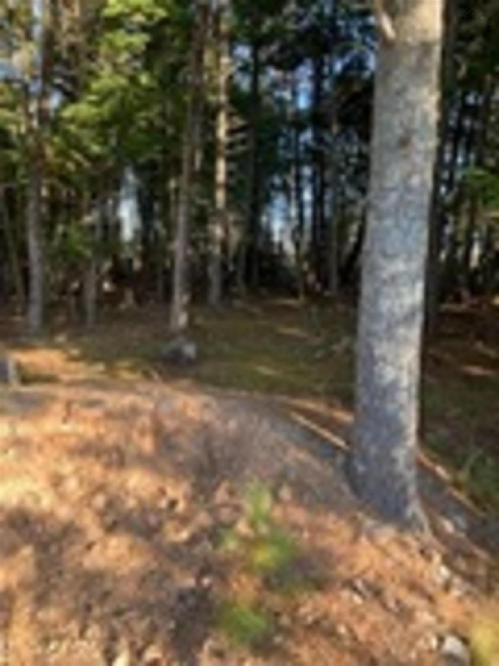 $62,900.00: 18 Acres Highway 256, West Branch