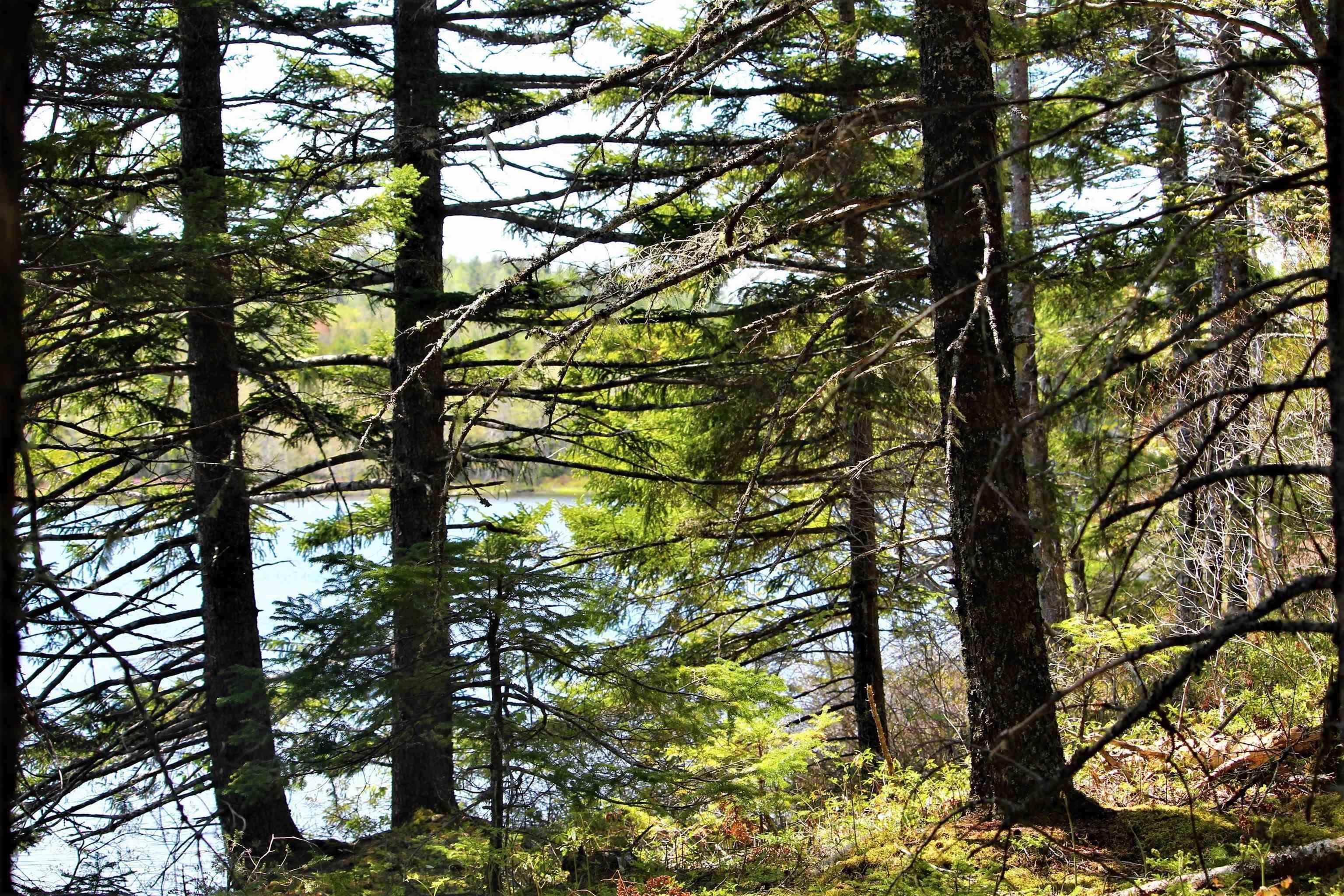 $110,000.00: 2 Laconia Road, Lunenburg