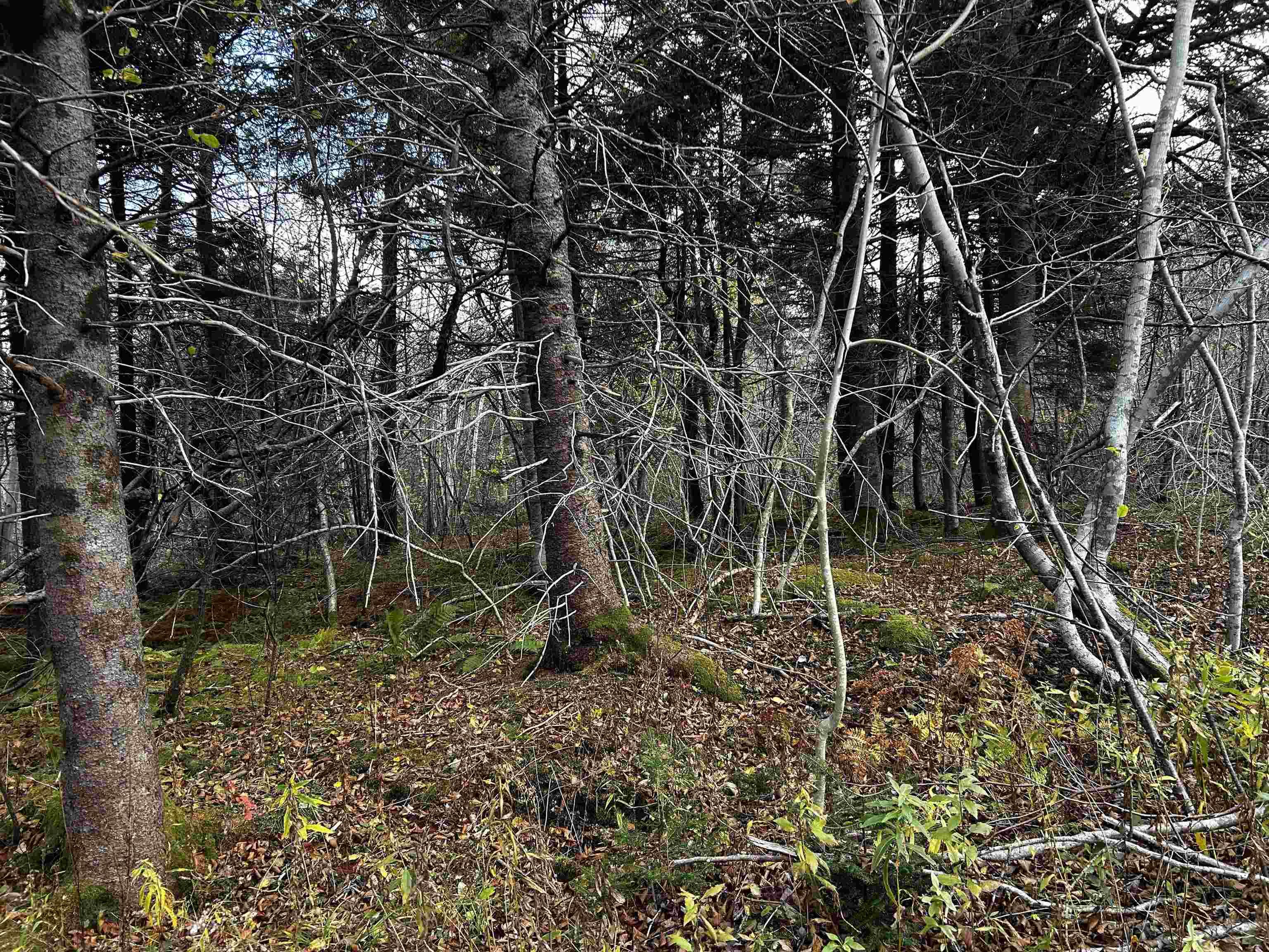 $45,000.00: 381 Marshalltown Road, Marshalltown