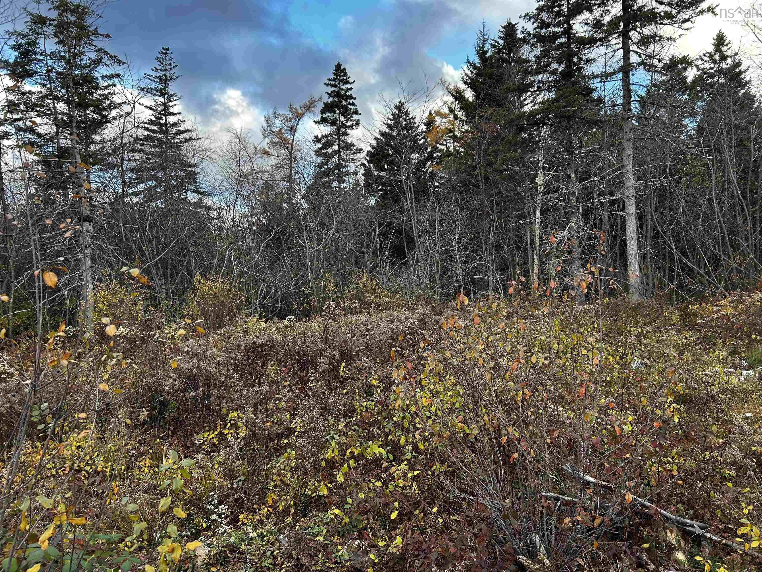 $45,000.00: 381 Marshalltown Road, Marshalltown