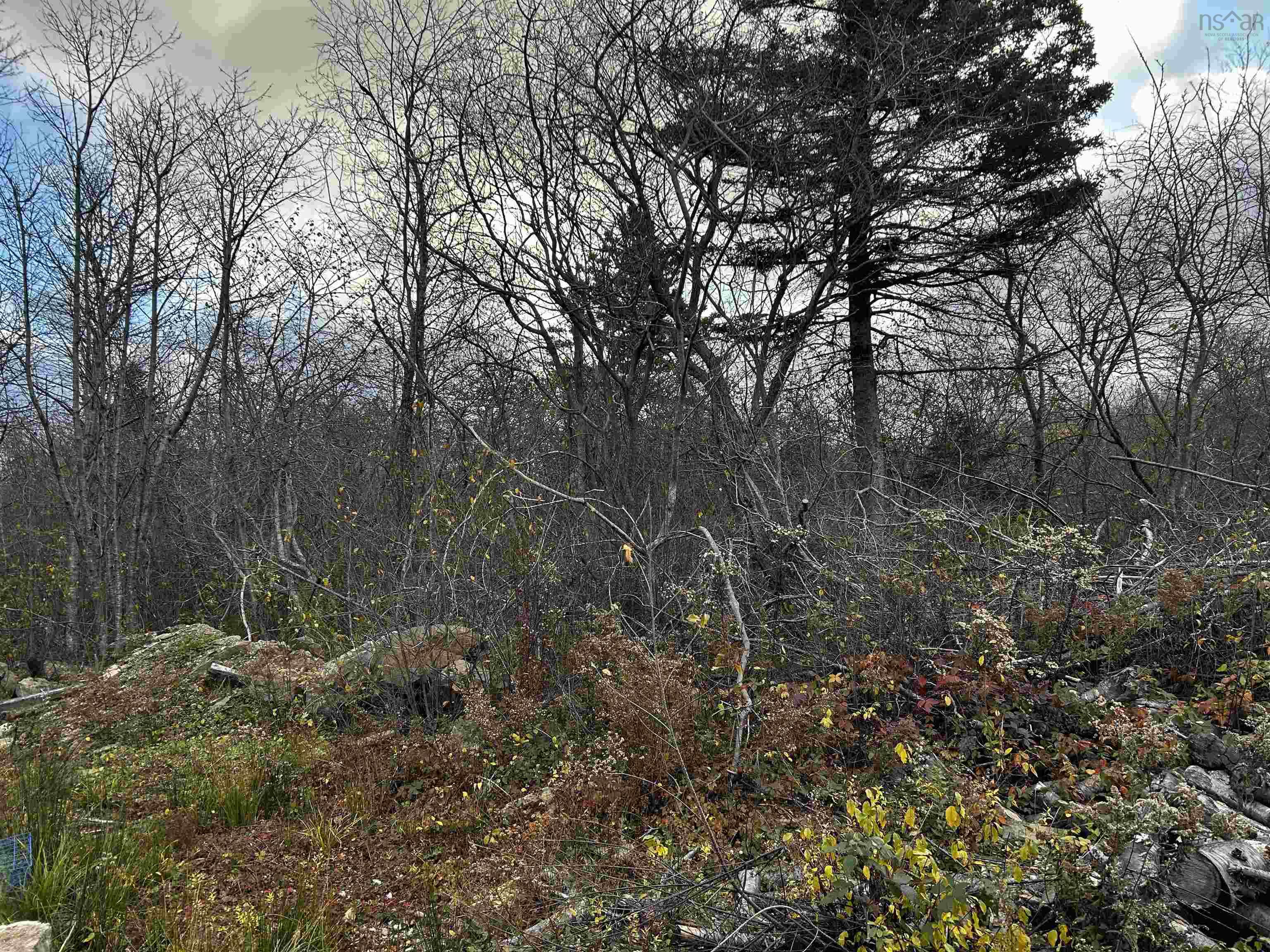 $45,000.00: 381 Marshalltown Road, Marshalltown