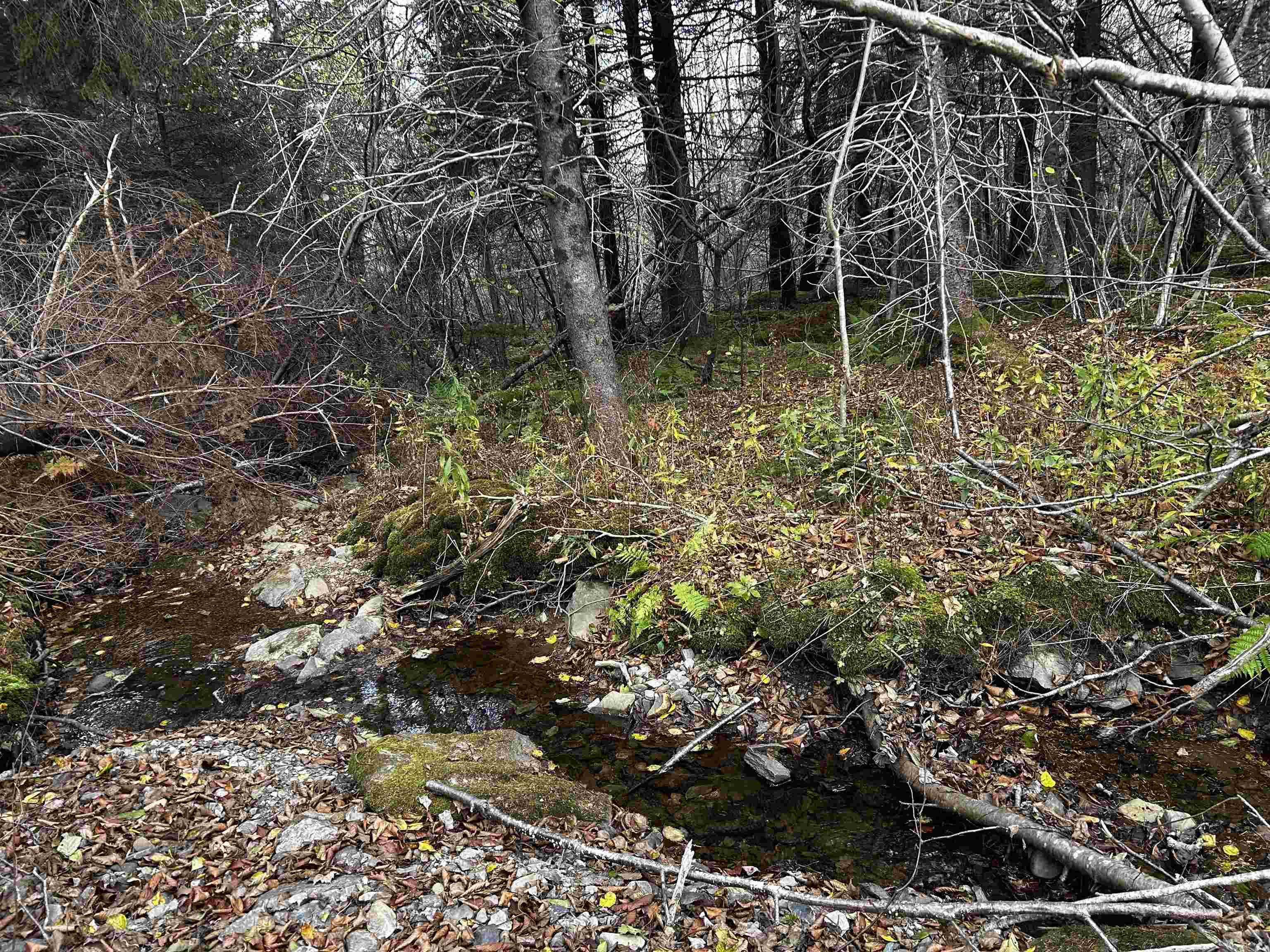 $45,000.00: 381 Marshalltown Road, Marshalltown