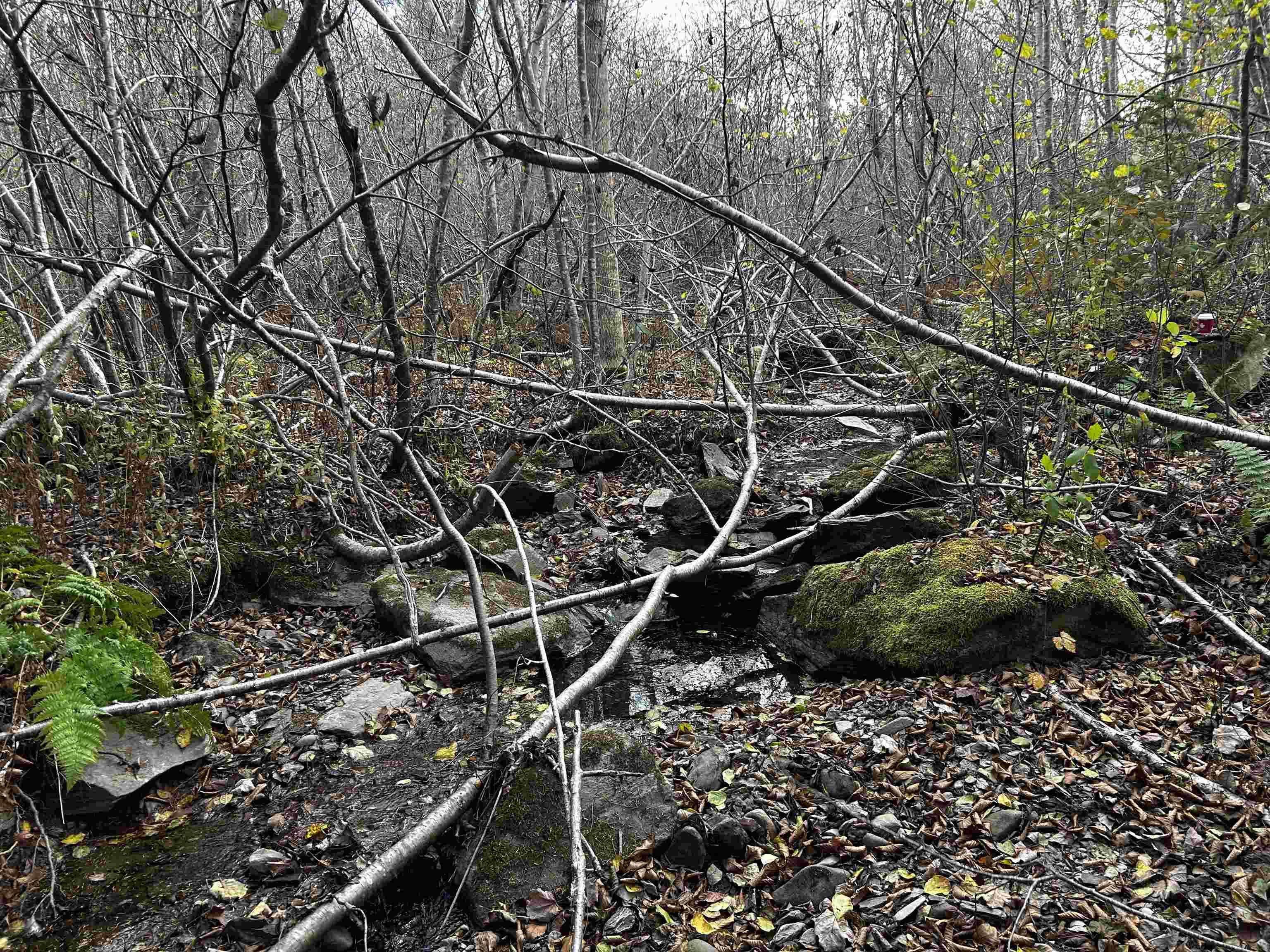 $45,000.00: 381 Marshalltown Road, Marshalltown