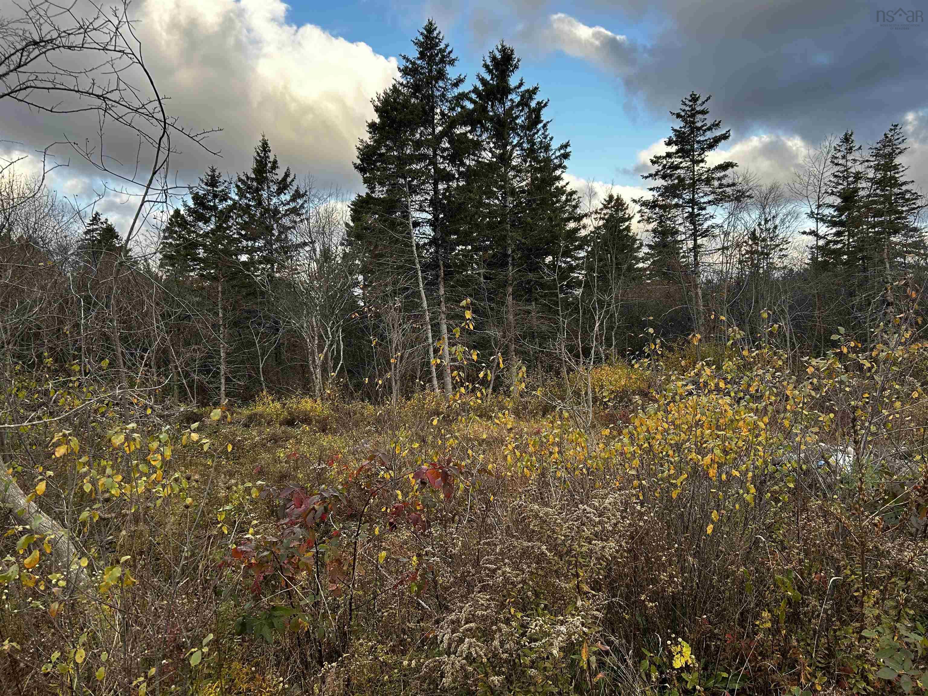 $45,000.00: 381 Marshalltown Road, Marshalltown