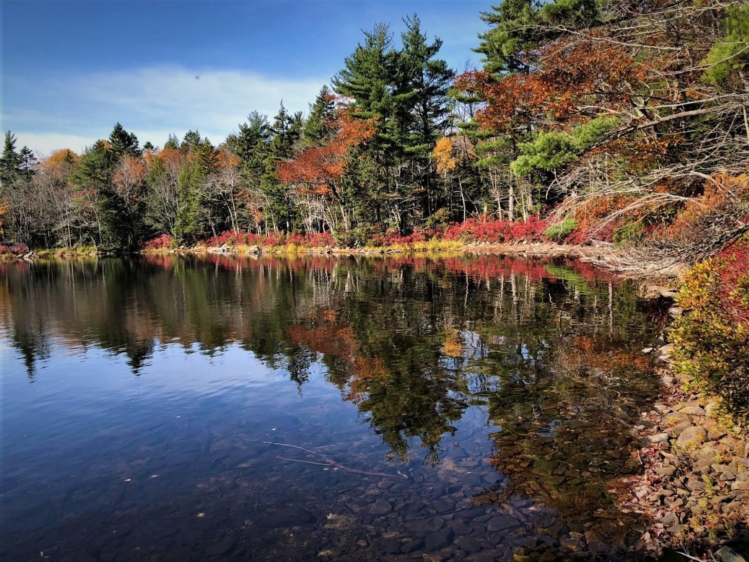 $95,000.00: 25 Lapland Road, Lunenburg