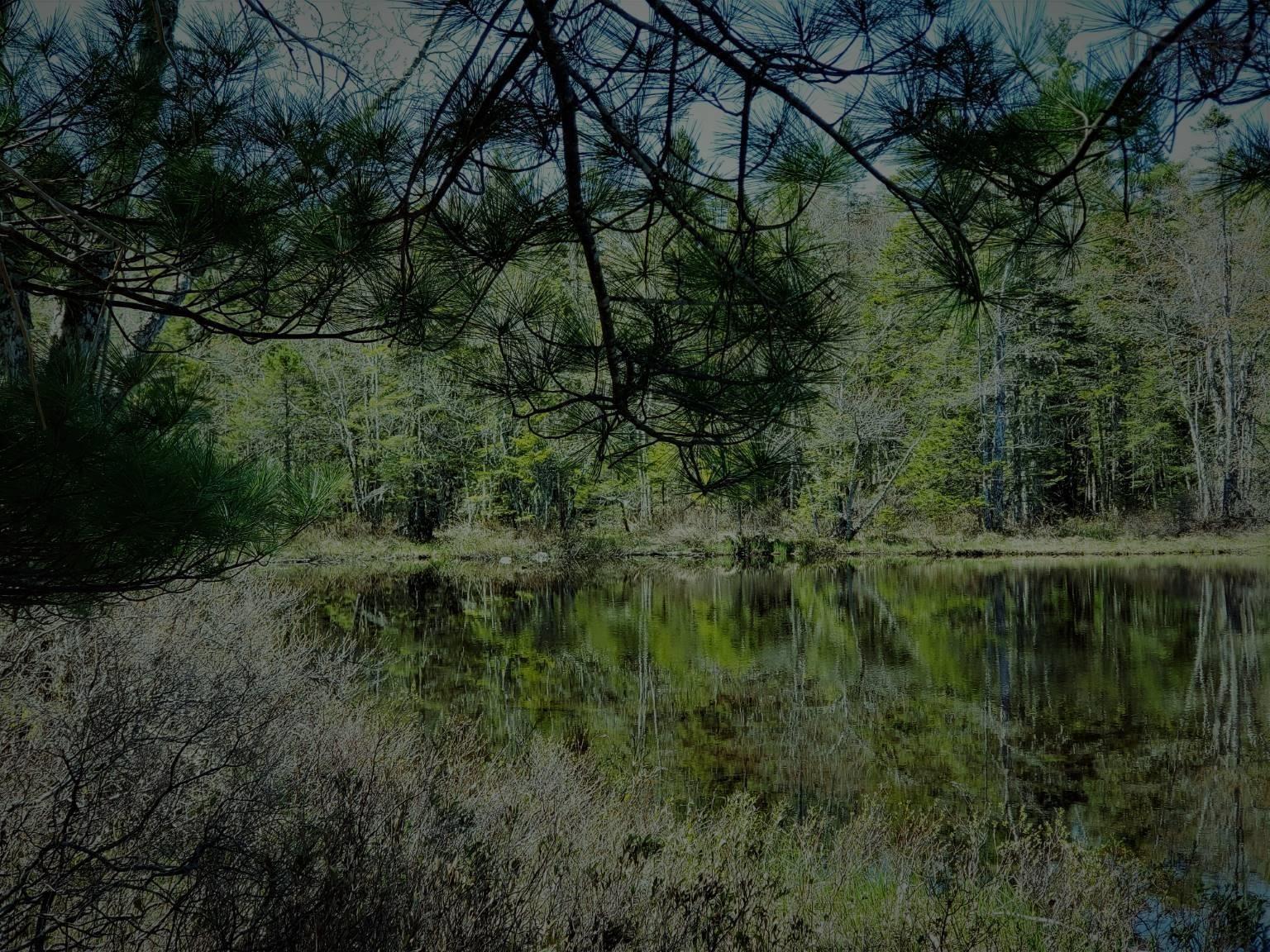 $95,000.00: 25 Lapland Road, Lunenburg