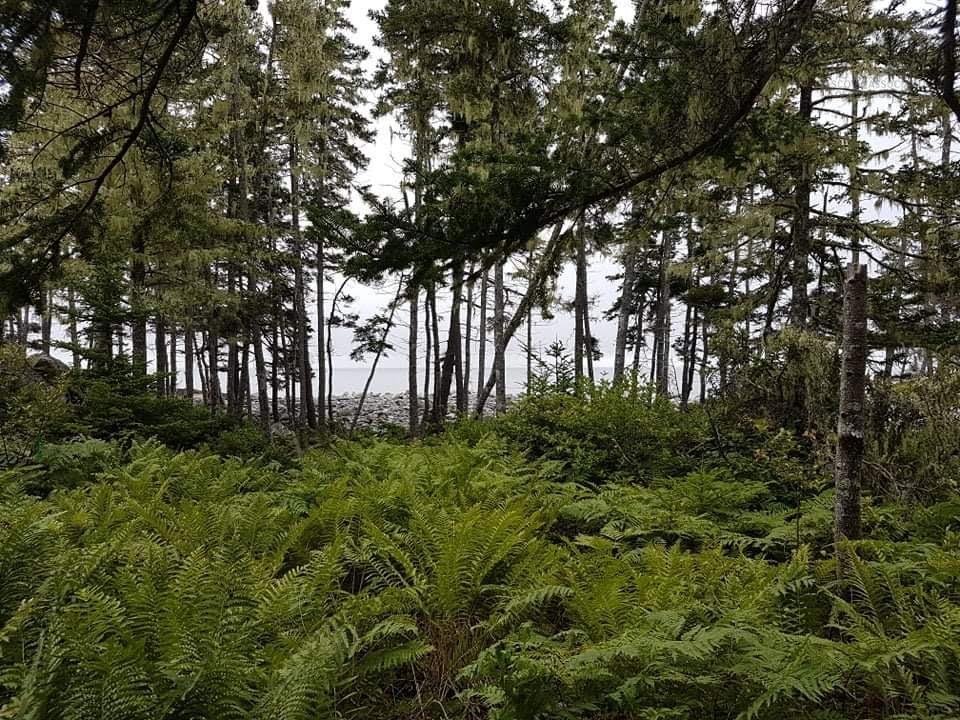 $249,000.00: Lot 11 Everetts Way, Hunts Point