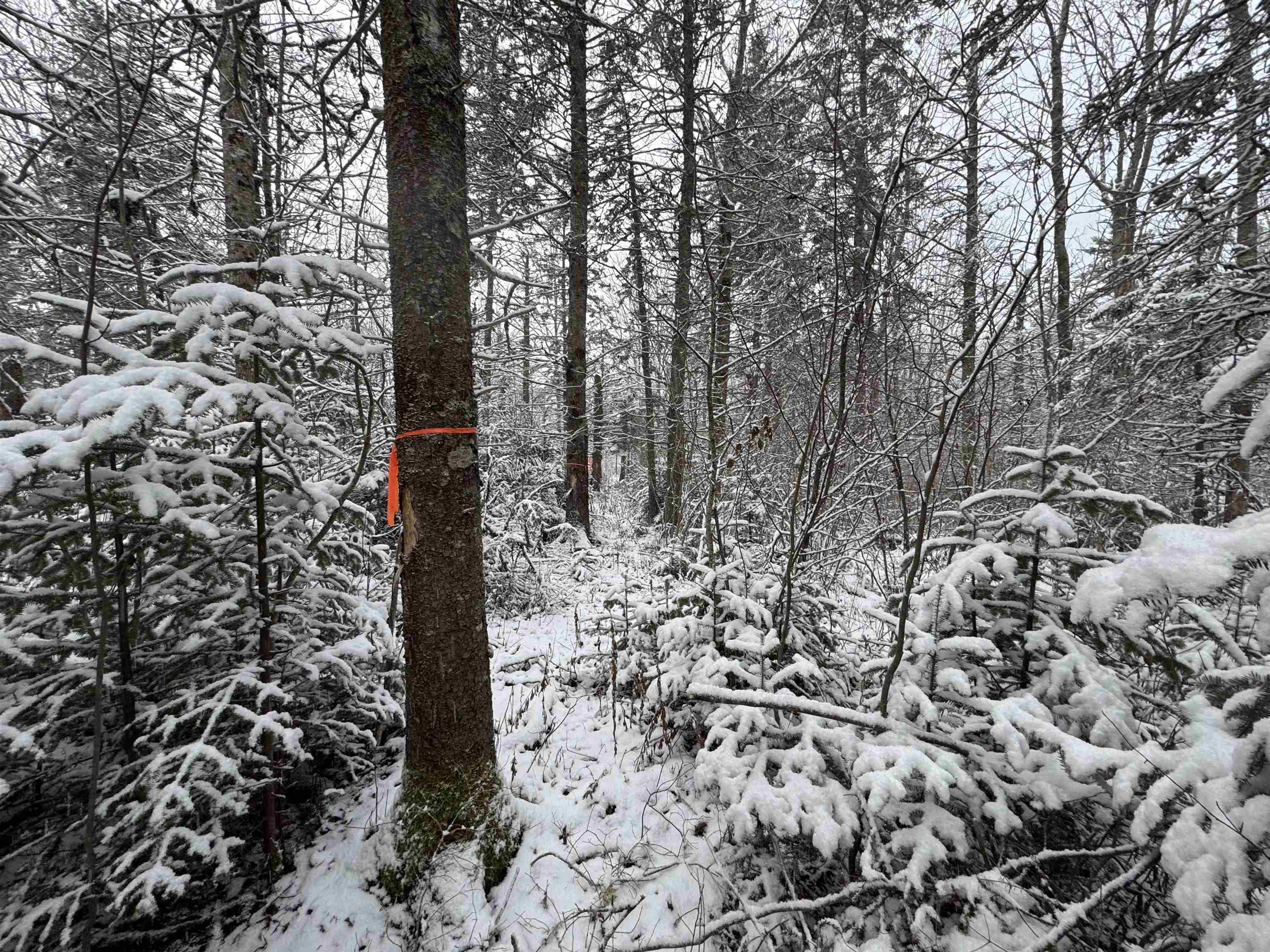 $59,000.00: Lot 4 Outram Road, Outram