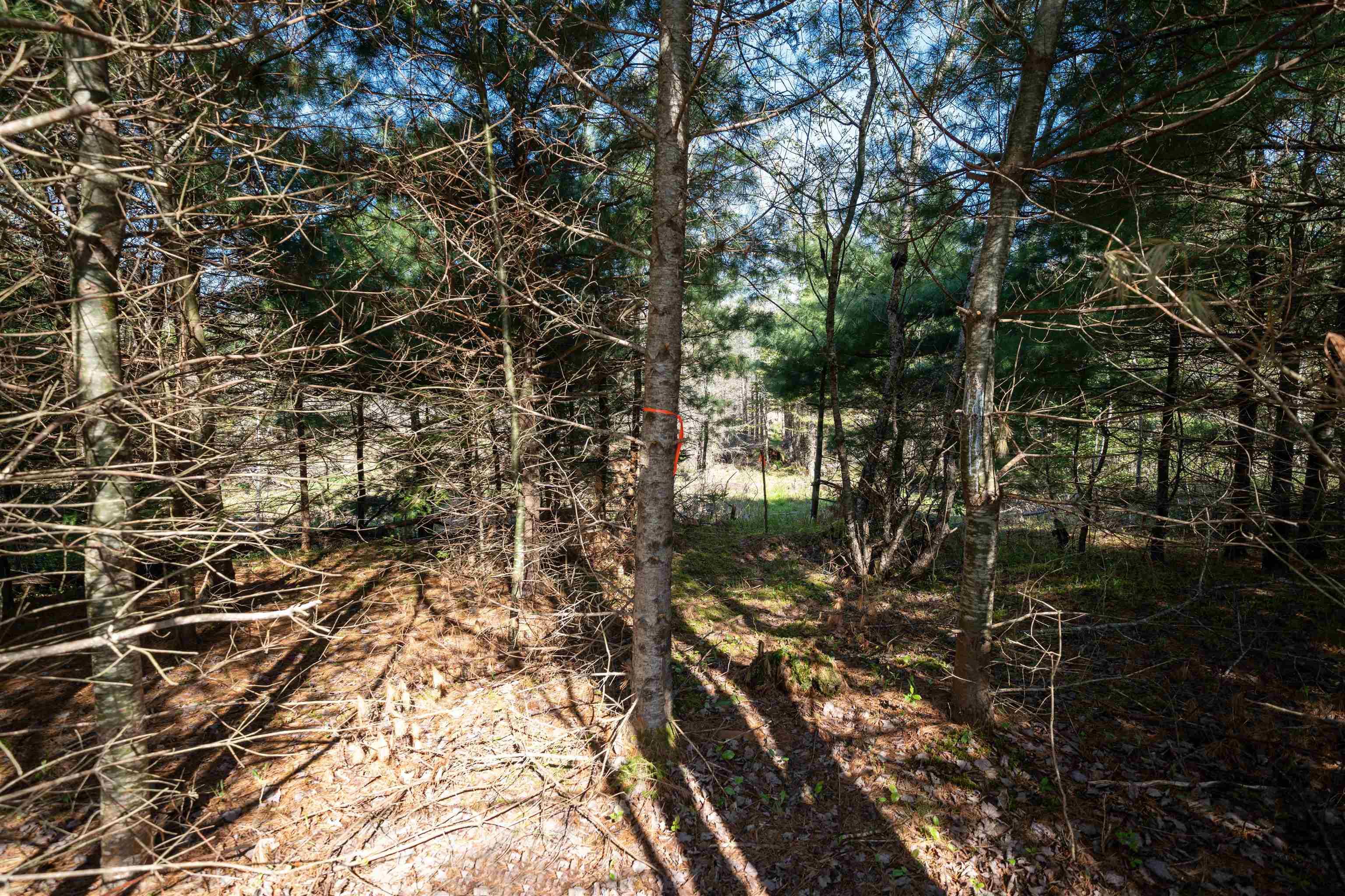 $34,900.00: Lot 2 Blois Road, Macphees Corner