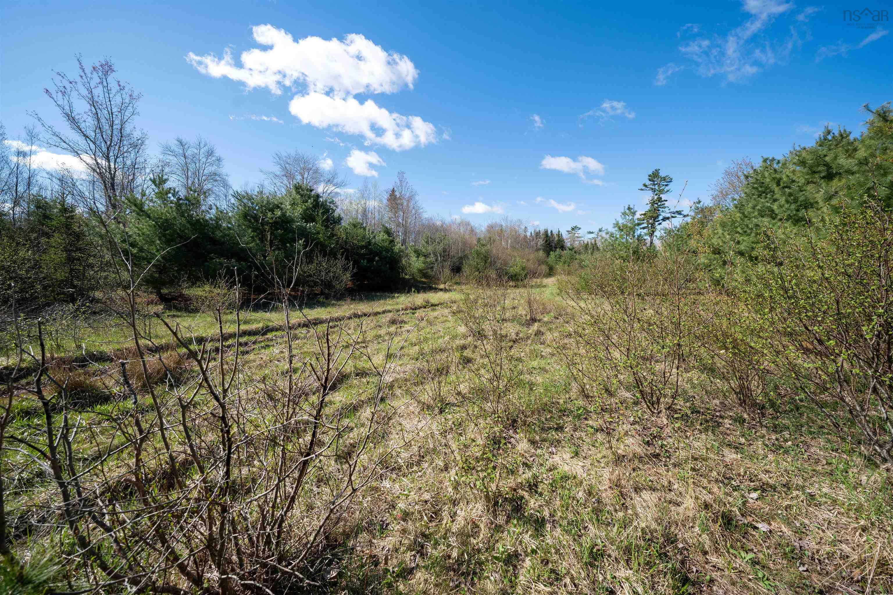 $34,900.00: Lot 2 Blois Road, Macphees Corner