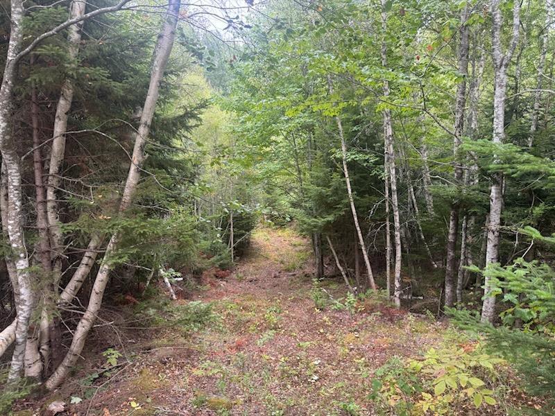 $669,900.00: 420 Highway 246, Wentworth