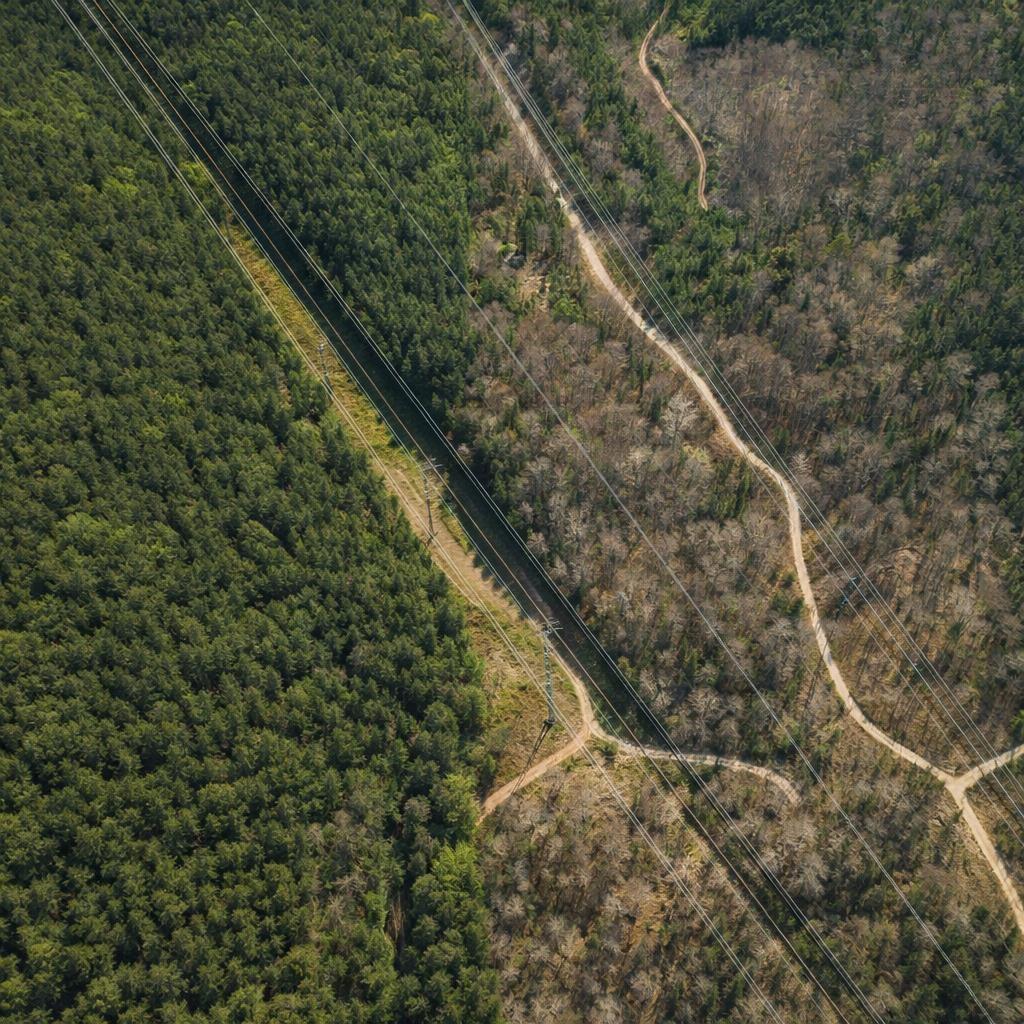 $40,000.00: Lot Highway 101, St. Bernard