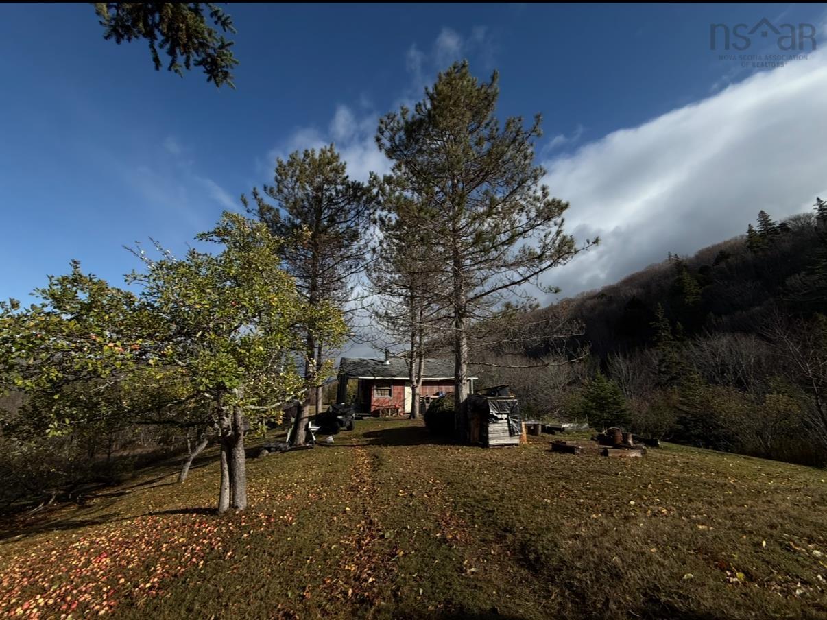 $125,000.00: Rear Boisdale, Boisdale