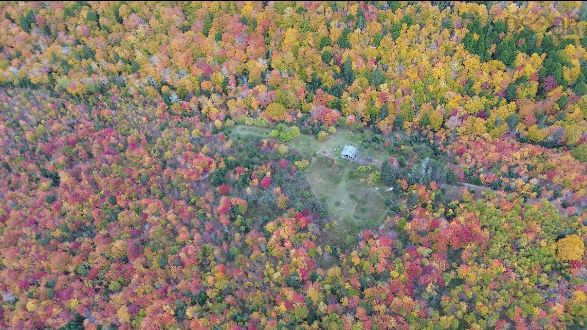 $125,000.00: Rear Boisdale, Boisdale