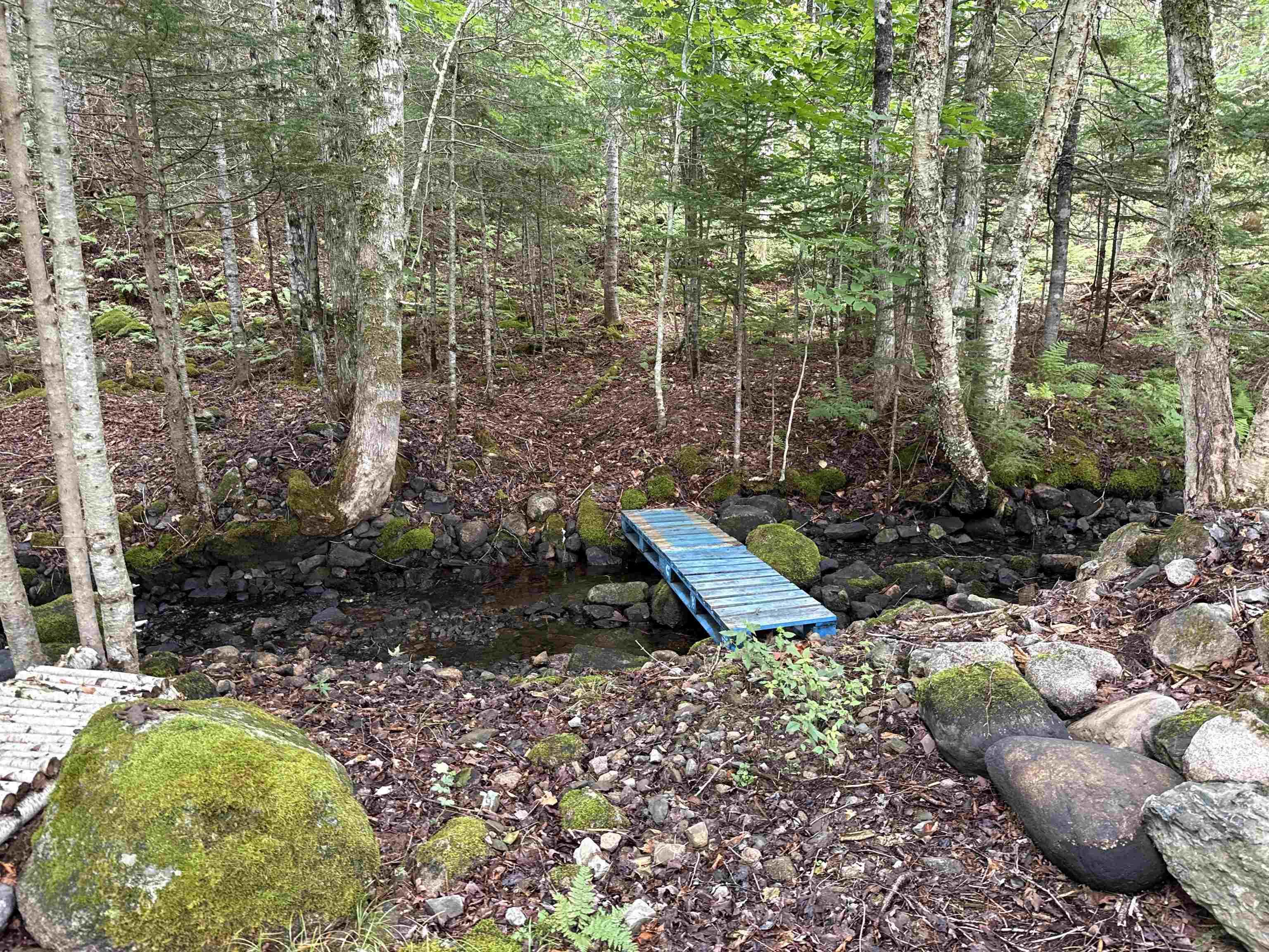 $125,000.00: Rear Boisdale, Boisdale