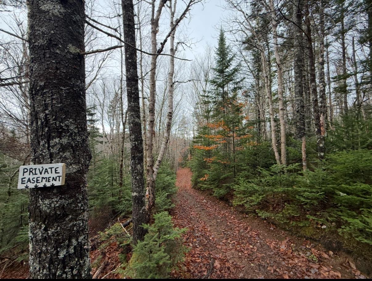 $125,000.00: Rear Boisdale, Boisdale