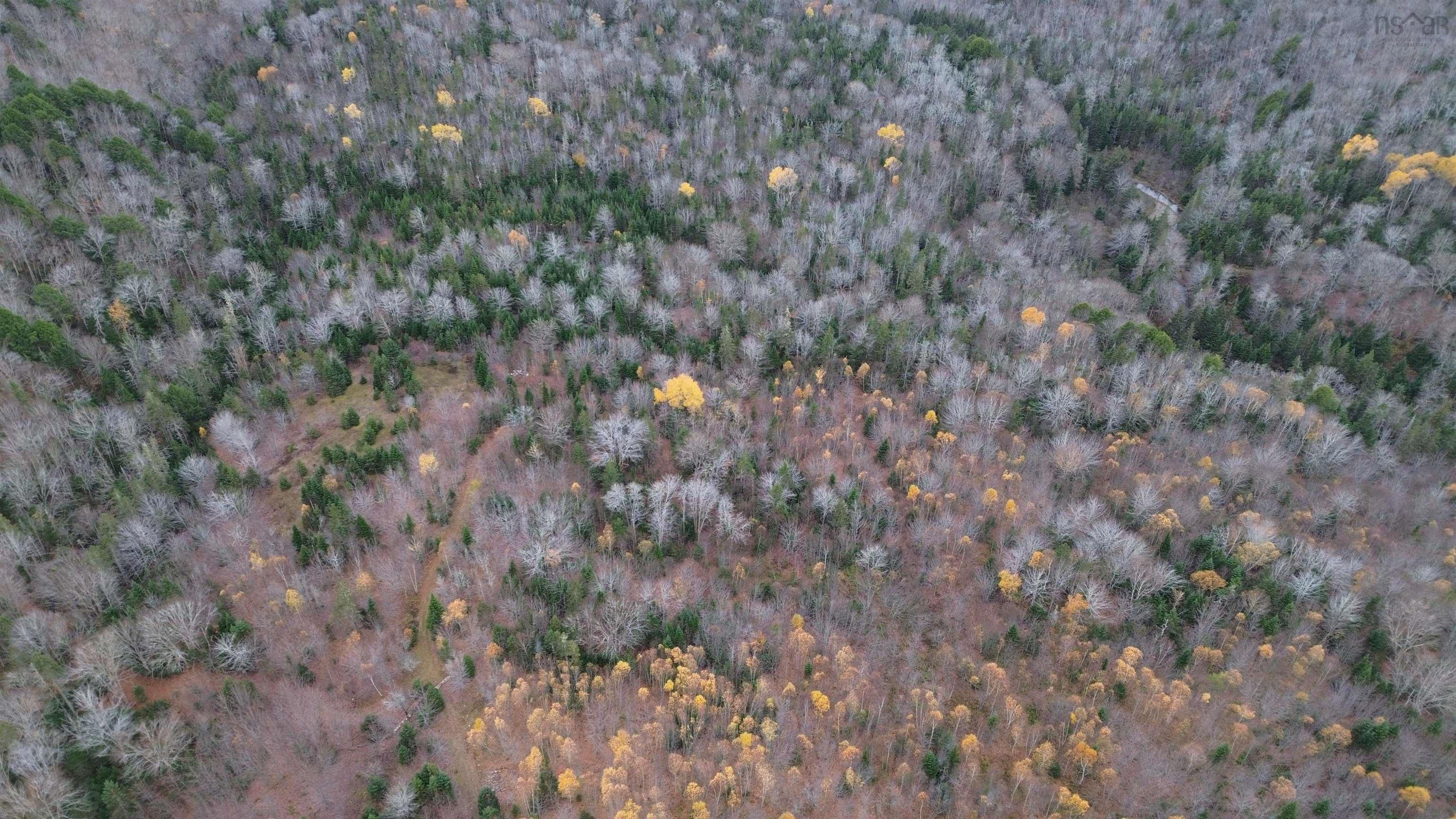 $125,000.00: Rear Boisdale, Boisdale