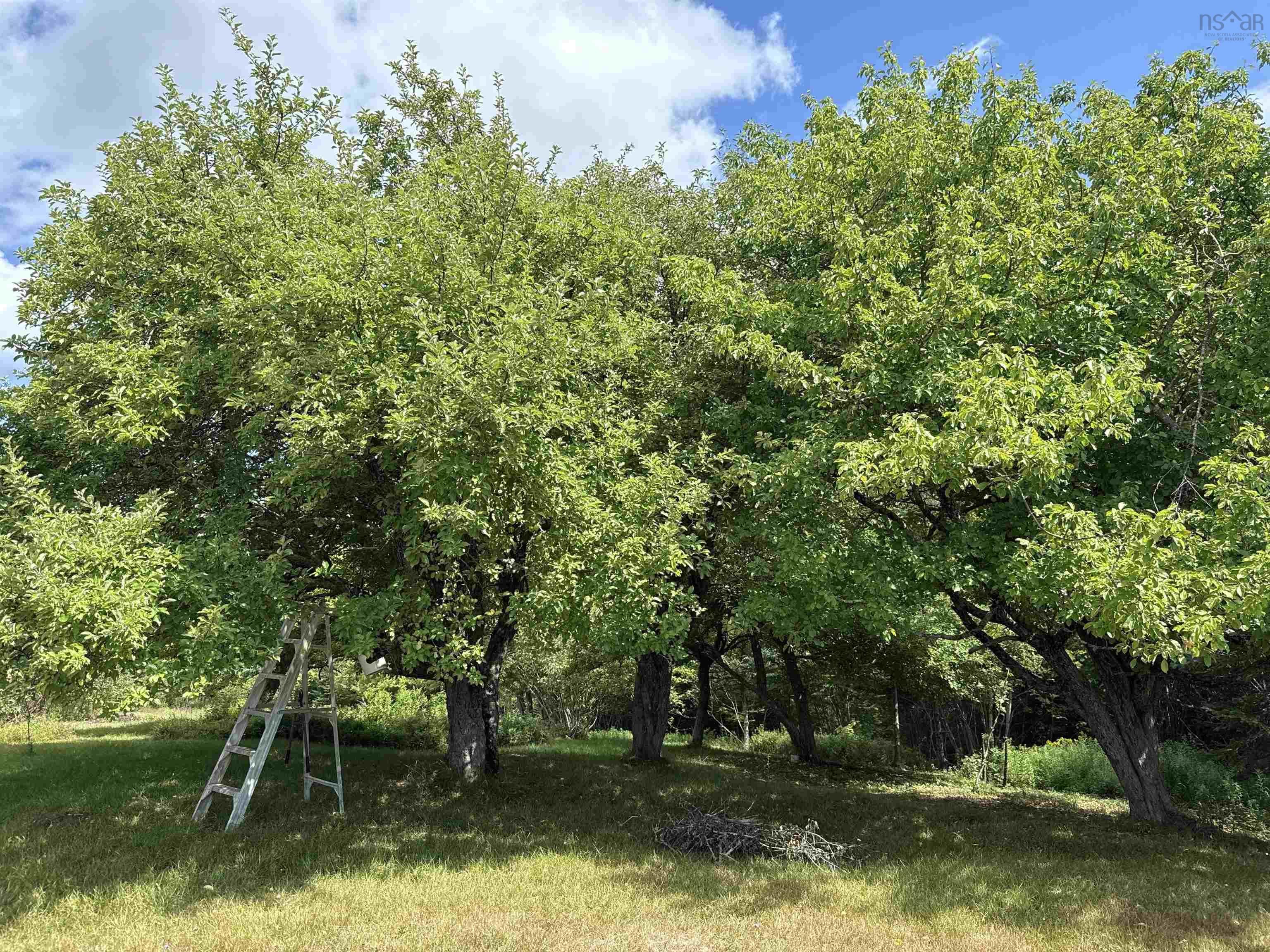 $125,000.00: Rear Boisdale, Boisdale