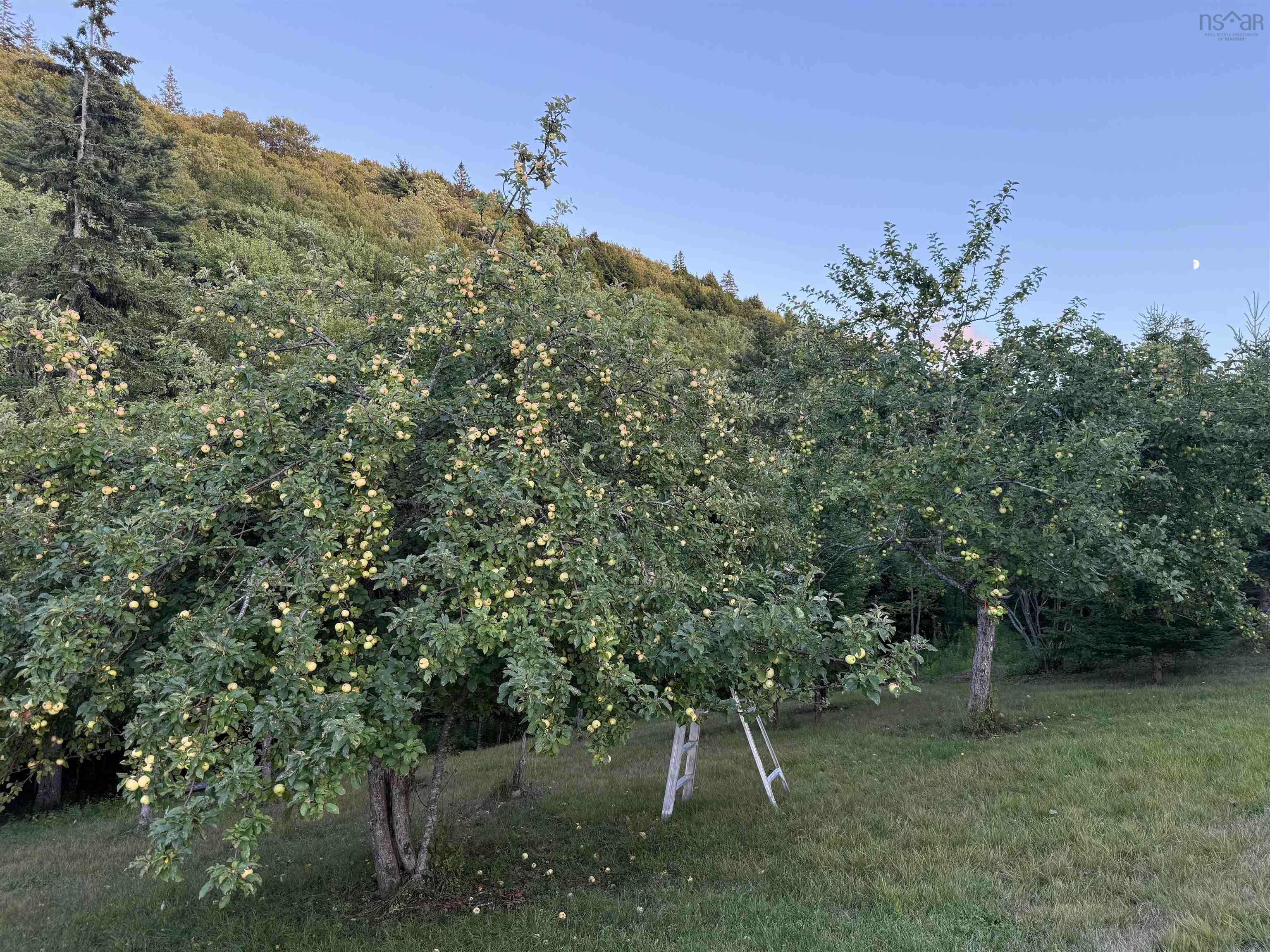 $125,000.00: Rear Boisdale, Boisdale