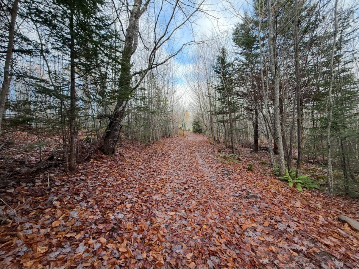 $125,000.00: Rear Boisdale, Boisdale