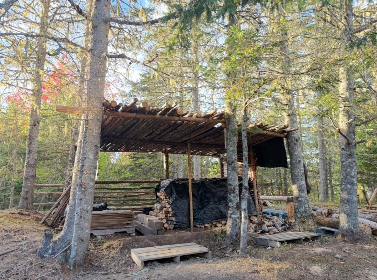 $125,000.00: Rear Boisdale, Boisdale