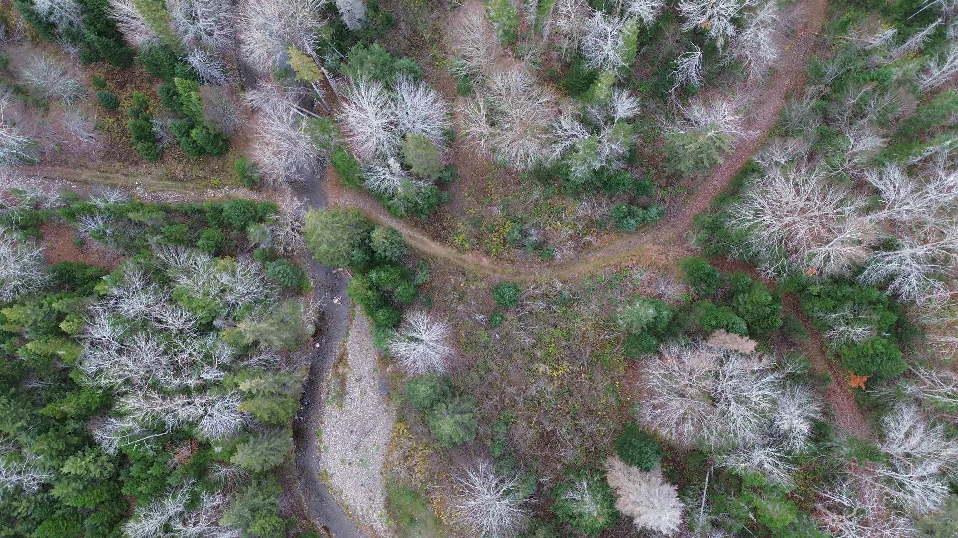 $125,000.00: Rear Boisdale, Boisdale