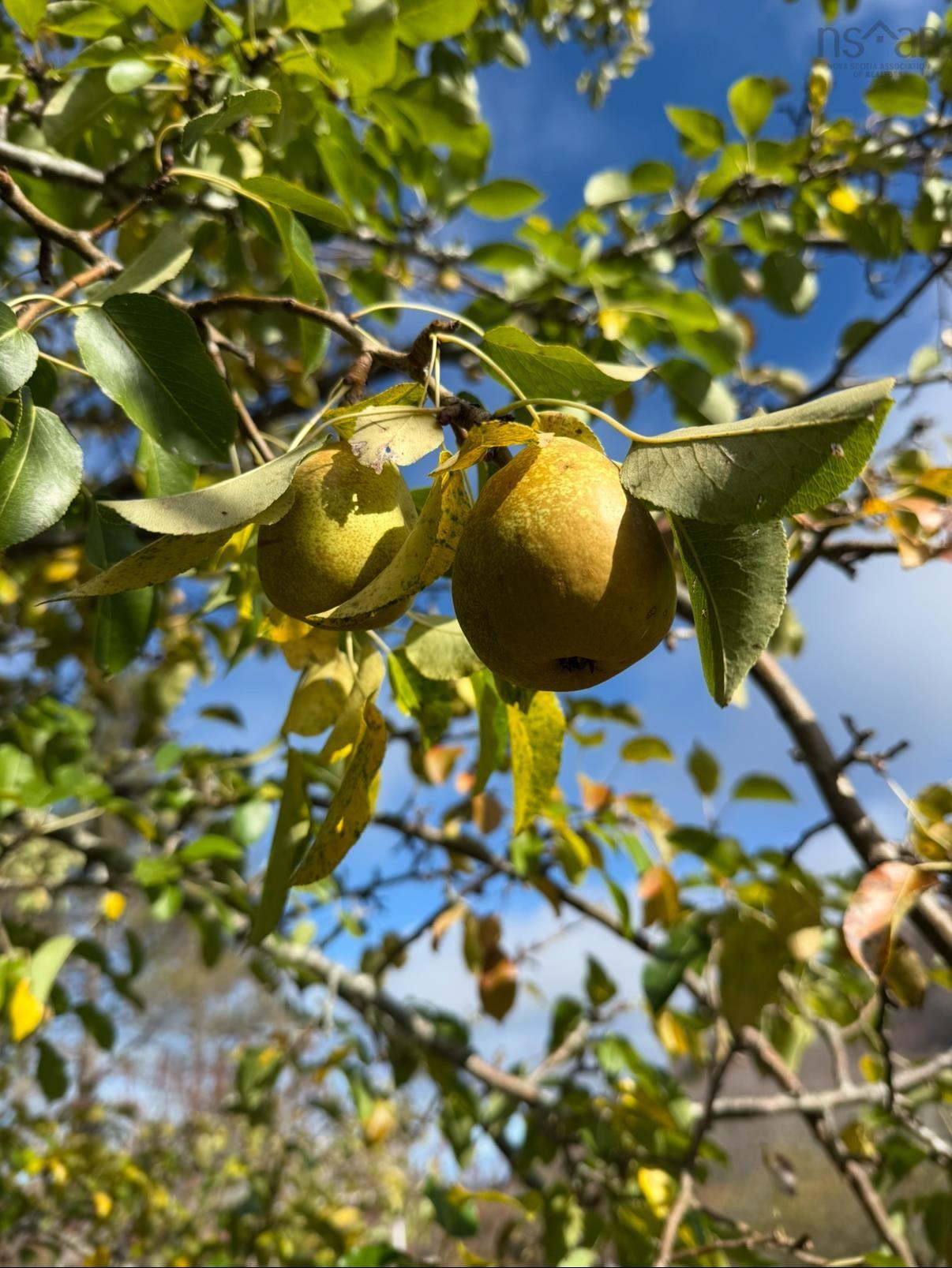 $125,000.00: Rear Boisdale, Boisdale