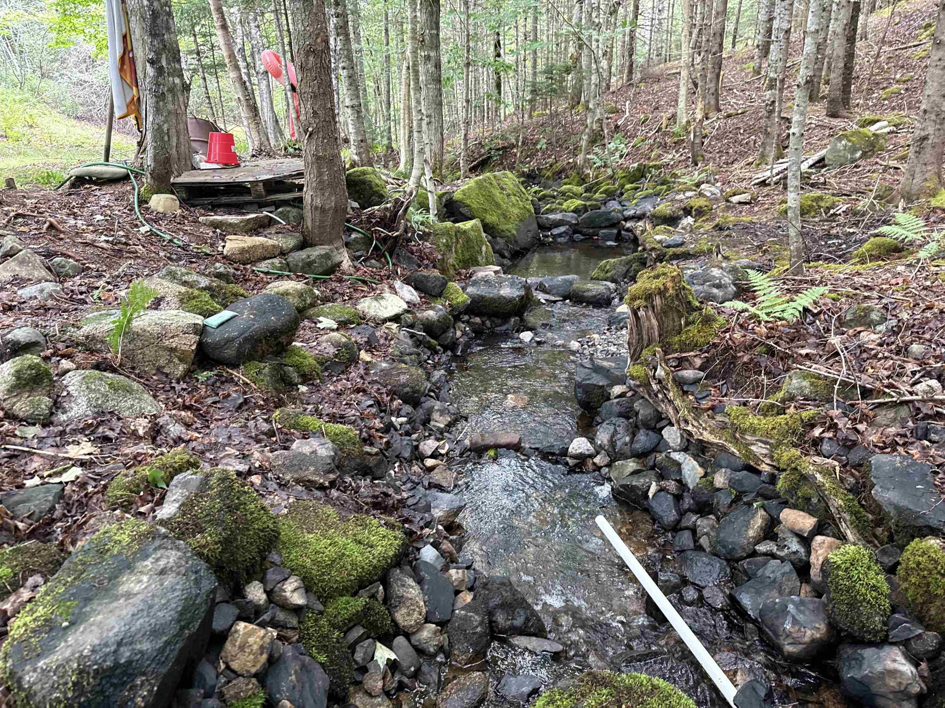 $125,000.00: Rear Boisdale, Boisdale