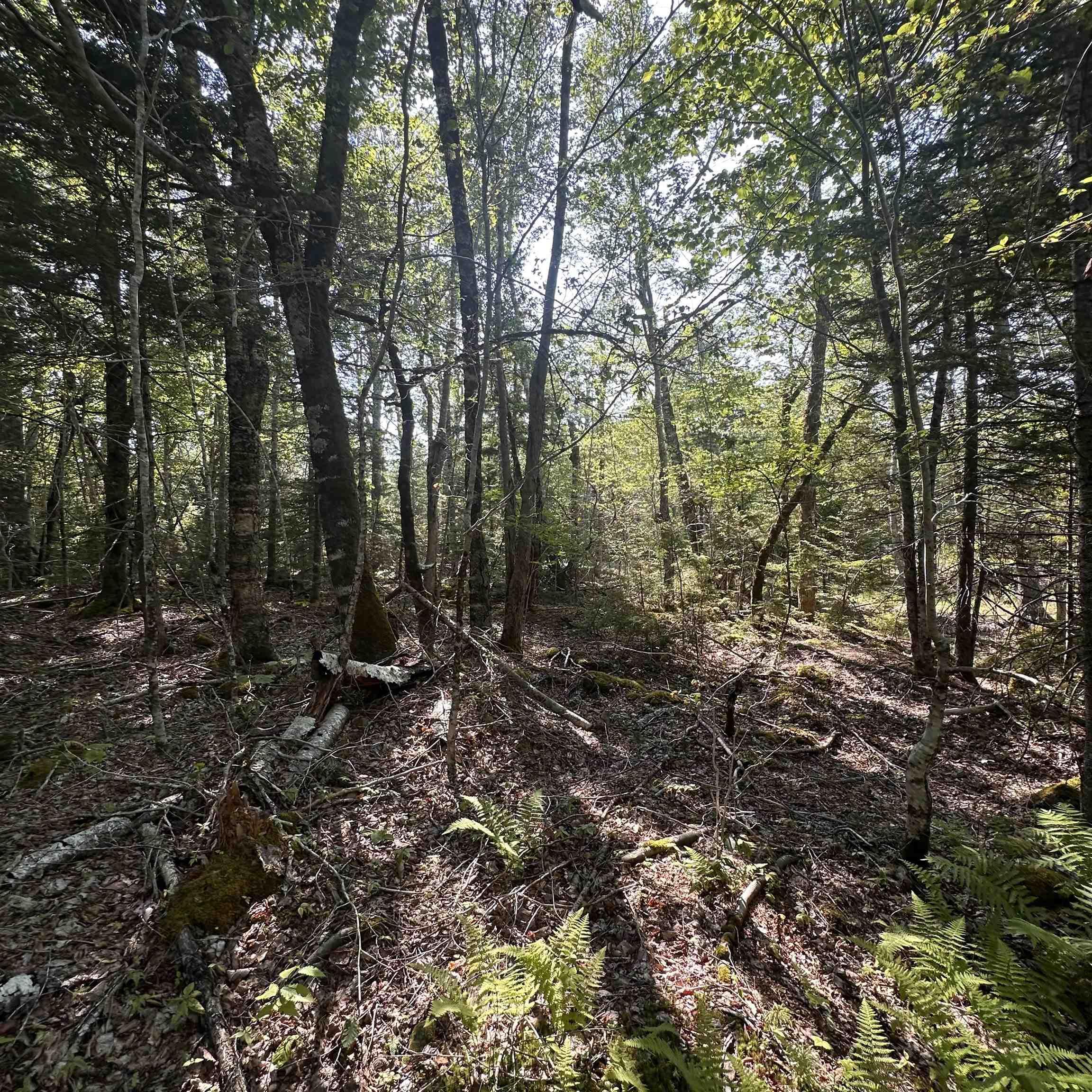 $19,900.00: Lot 49 Island View Terrace, Labelle