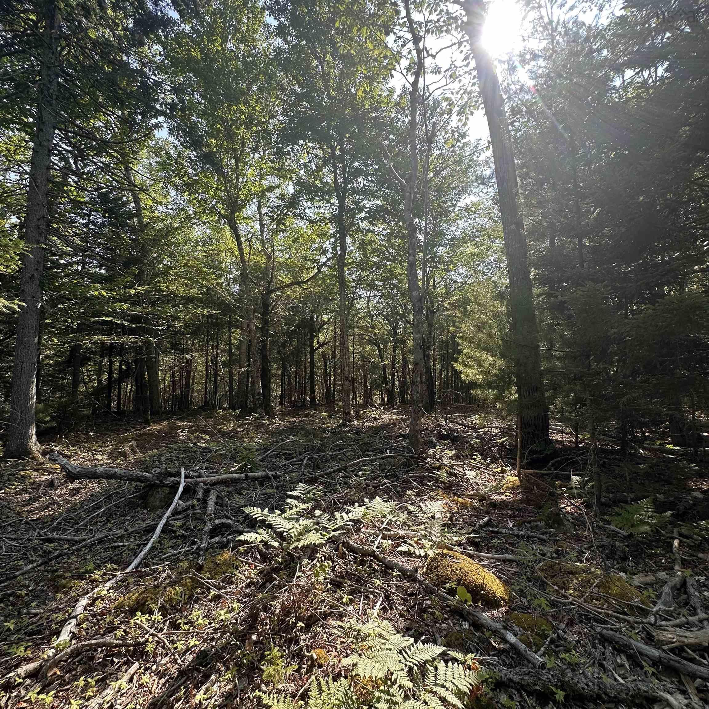 $21,900.00: Lot 51 Island View Terrace, Labelle