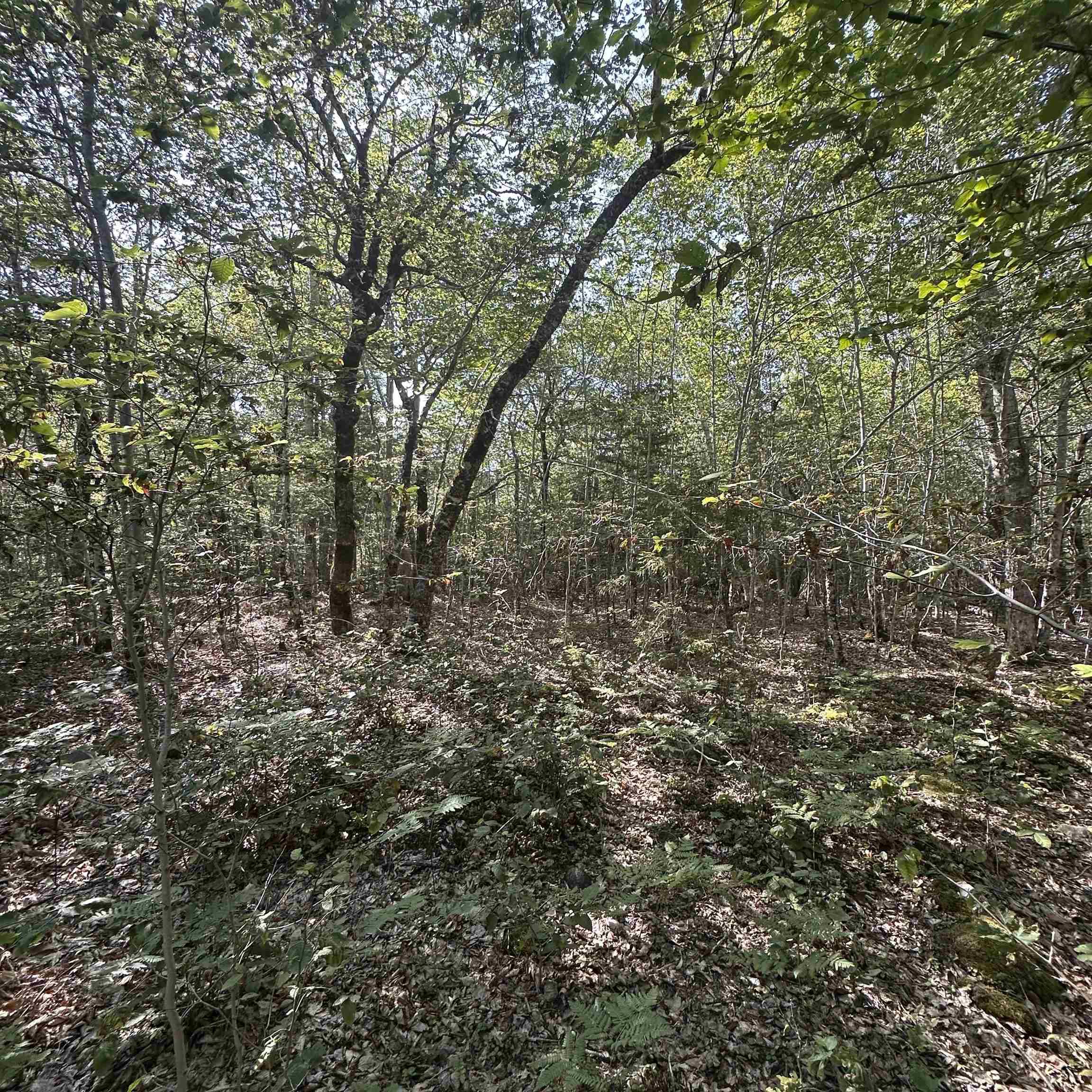 $21,900.00: Lot 51 Island View Terrace, Labelle