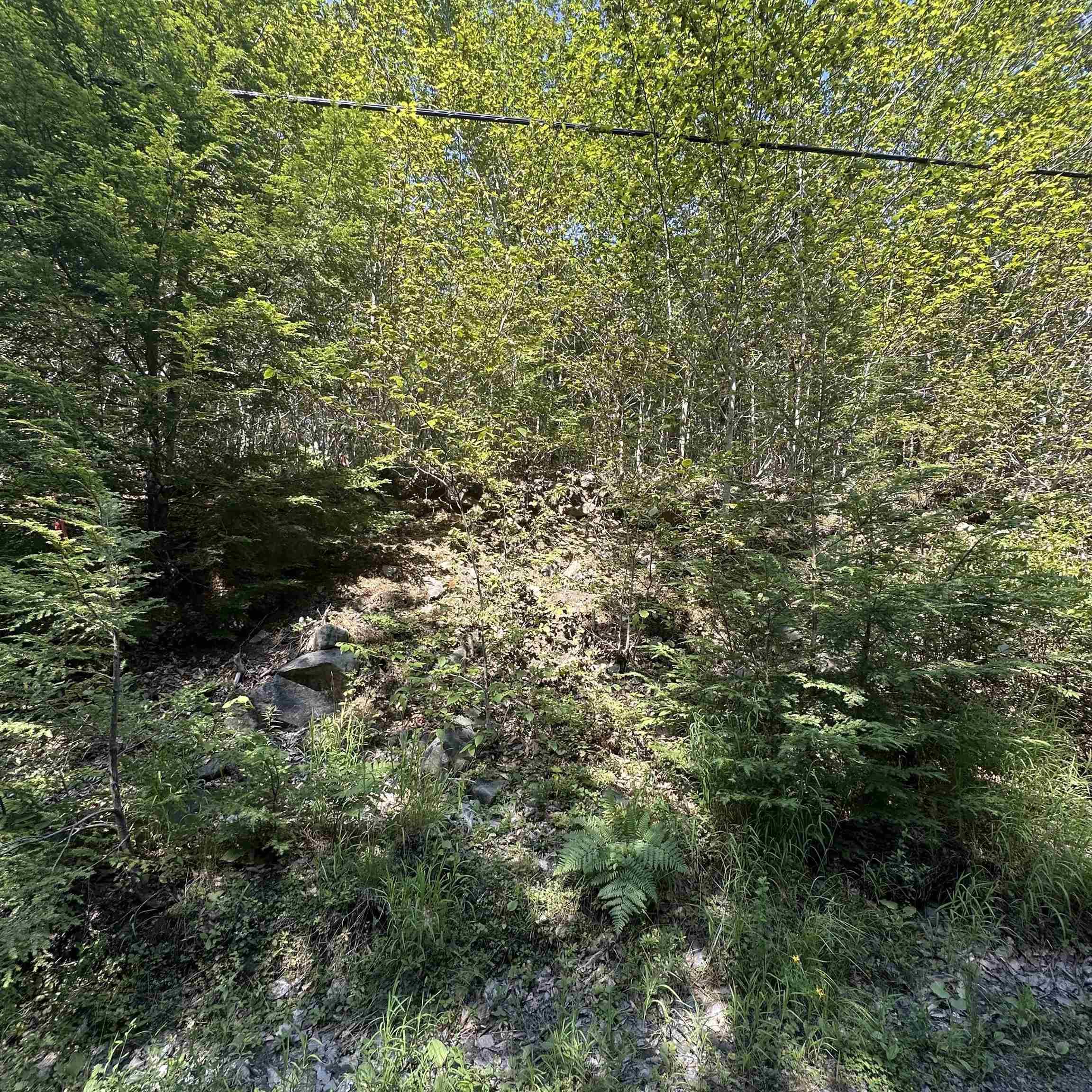 $21,900.00: Lot 51 Island View Terrace, Labelle