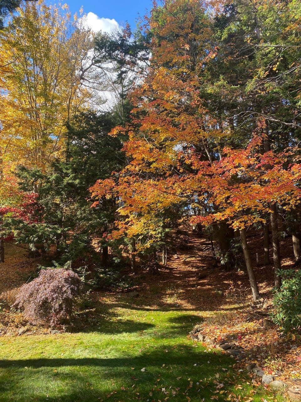 100 Anchor Drive, Halifax, NS (MLS 202601540)