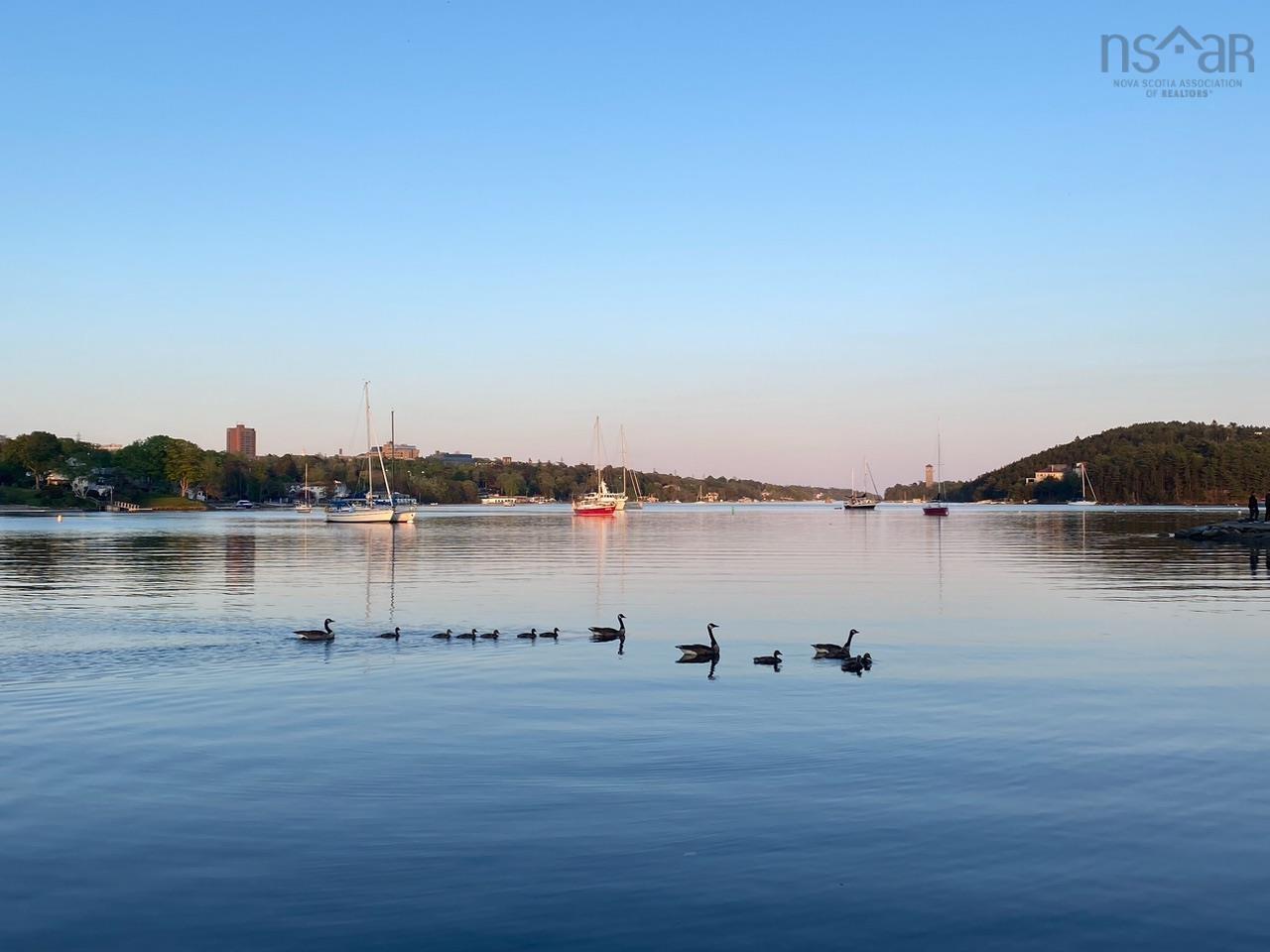 100 Anchor Drive, Halifax, NS (MLS 202601540)